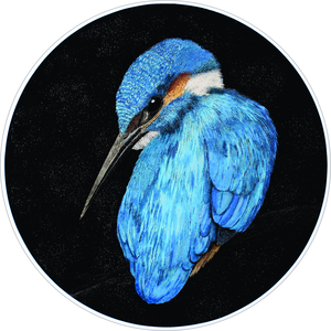 Nancy Tschetner In The Spotlight