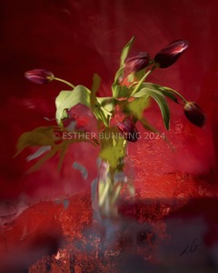 All: Esther Bunning, Red Velvet