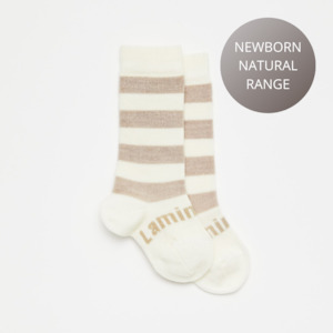Kids Accessories Wear: Lamington Knee High Sock - Dandelion
