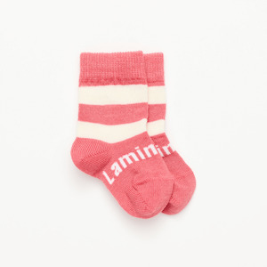 Kids Socks: Lamington Crew Sock - Candy