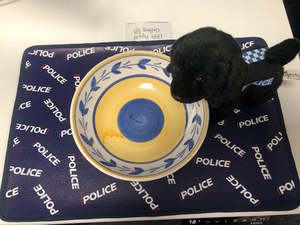 Kids: Little Poppet Pet Feeding Mat