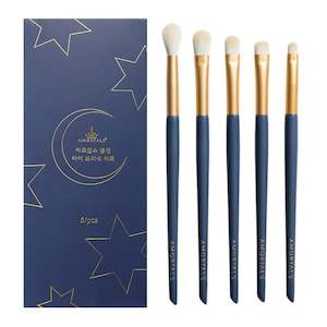 Eye Makeup Brushes Set (5 Brushes + 1 Bag)