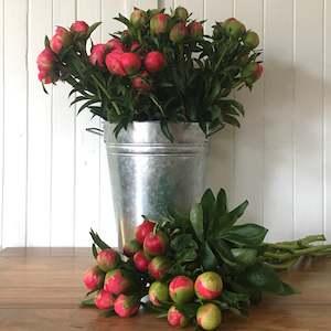 Peony Special- Click & Collect