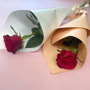 Valentines Day - Single Red Rose