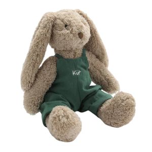 PERSONALISED- Mr Honey Bunny- Green