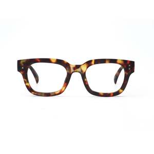 Daily Eyewear - 2pm Reading - Brown Tort