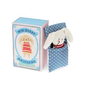 Mini Bunny In A Little Box