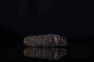 Products: Juniper Smudge Stick - THE COVEN