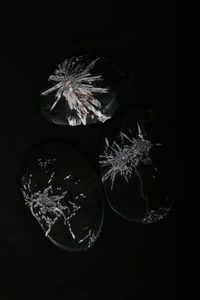 Chrysanthemum Crystal - THE COVEN