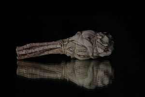 White Sage Small Smudge Stick - THE COVEN