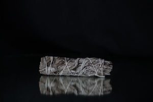 White Sage Medium Smudge Stick - THE COVEN