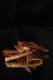 Cats Claw Bark - THE COVEN