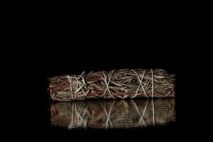 Products: Rosemary Smudge Stick - THE COVEN