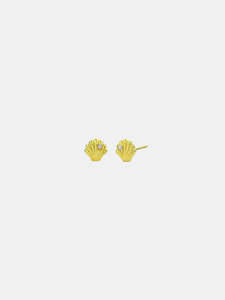 Sophie - She Shell Studs
