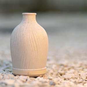 Diffusers: Vase Diffuser