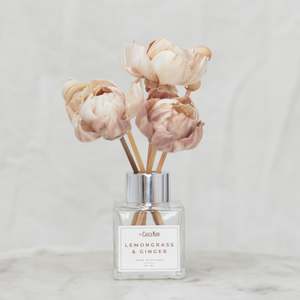 Reed Diffusers: Reeds & Peonies Diffuser Mini Diffuser