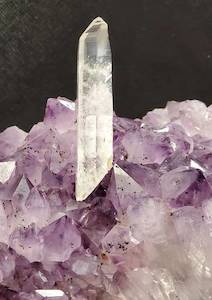 Products: Long Lemurian Point