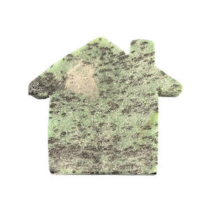 Carvings: 98g Ruby Zoisite House