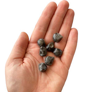 Skulls: Larvikite Skull