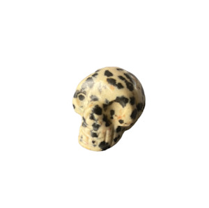 Skulls: Dalmatian Jasper Skull