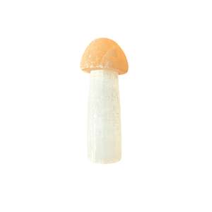 Mushrooms: 36g Selenite Mushroom