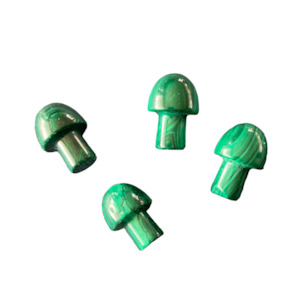 Mushrooms: Malachite Mushroom