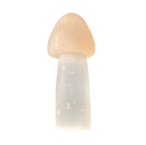 Mushrooms: 68g Selenite Mushroom