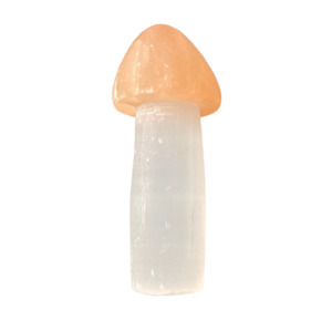 Mushrooms: 40g Selenite Mushroom