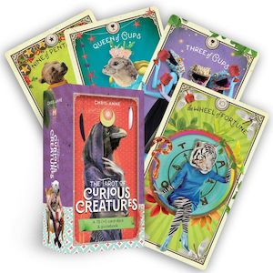 Tarot Cards: Tarot of Curious Creatures