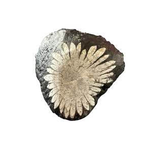 Statement Pieces: 216g Chrysanthemum Stone Raw