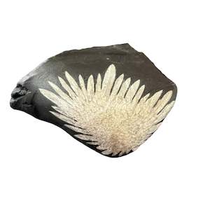 Statement Pieces: 198g Chrysanthemum Stone Raw