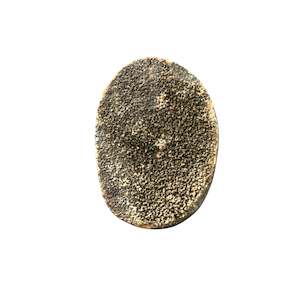 Easter Collection: 118g Septarian Egg