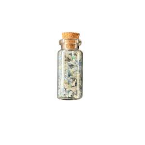 Wish Bottles: 50mm Blue Kyanite Wish Bottle