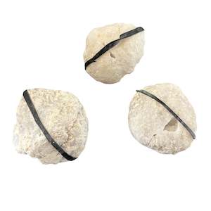 Geodes: Quartz Geode Pair