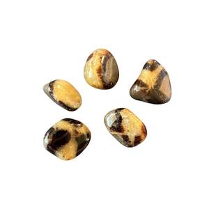 Tumbles: 5-10g Septarian Tumble
