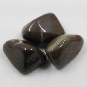 Tumbled: Petrified Wood medium