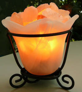 Baby: Dimmer lead for Himalayan Salt Lamp