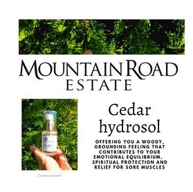 Bodycare: Cedar Hydrosol 30ml