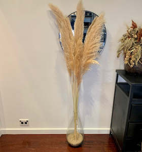 Decorations: Toi Toi In Glass Vase (Hire Price & Pickup Only)