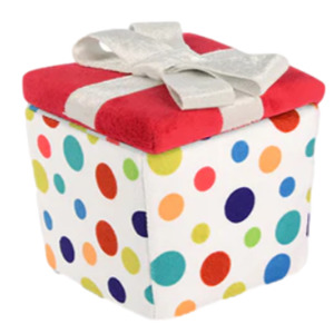 P.L.A.Y. Party Time Pawfect Present