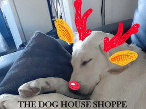 Around The House: The Dog House Shoppe Gift Card