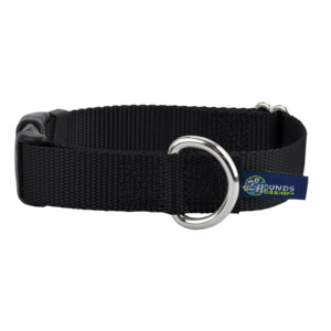 Collars: LARGE Nylon Webbing Collars -- Assorted Colours