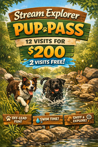 Stream Explorer Pup Pass