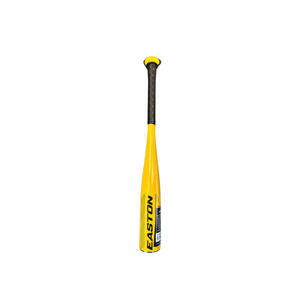 Training Equipment: Easton 1-Hand Training Bat