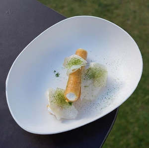 Your Sustainable Kitchen: Disposable Organic Plate Bagastro - 3 Sizes