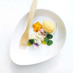 Single Use Table Serve Ware: Disposable Bagasse Plates & Bowl Sucadrops- 3 Sizes, Pack Of 50 Or 75 Pieces