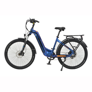 Products: Geobyke Cruiser Low Step 29" Ebike - The Electric Motor Vehicle Company