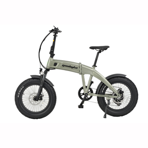 Products: Geobyke Folding E-Bike. – The Electric Motor Vehicle Company