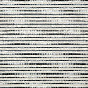 Duck Stripe Classic Sunbrella Outdoor Fabric