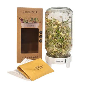 Kitchen: 1L Sprouting Jar Kit - BOXED